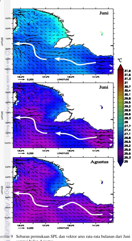 Gambar 9   Sebaran permukaan SPL dan vektor arus rata-rata bulanan dari Juni  sampai bulan Agustus 