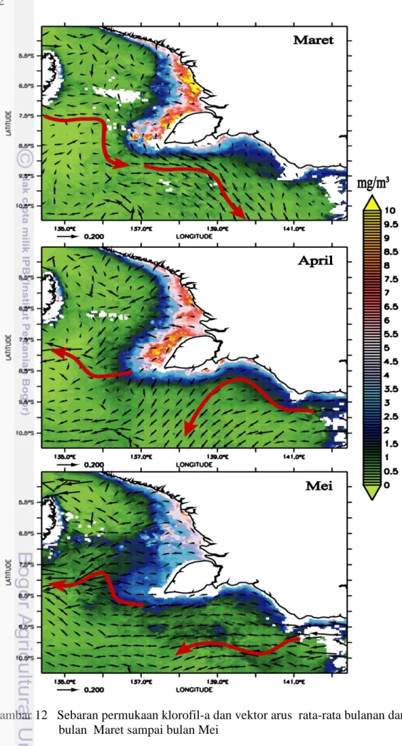 Gambar 12   Sebaran permukaan klorofil-a dan vektor arus  rata-rata bulanan dari  bulan  Maret sampai bulan Mei 