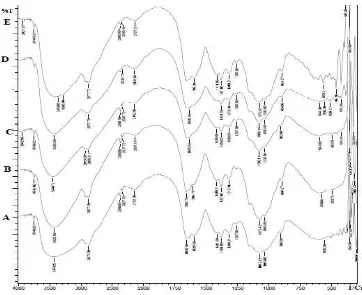Gambar 4.2. Spektra FTIR gabungan membran (A) membran kitosan; (B) 