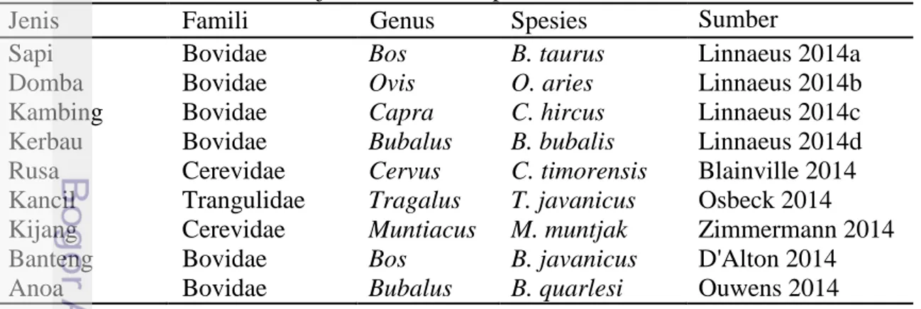 Tabel 1  Taksonomi sembilan jenis ruminansia penelitian 