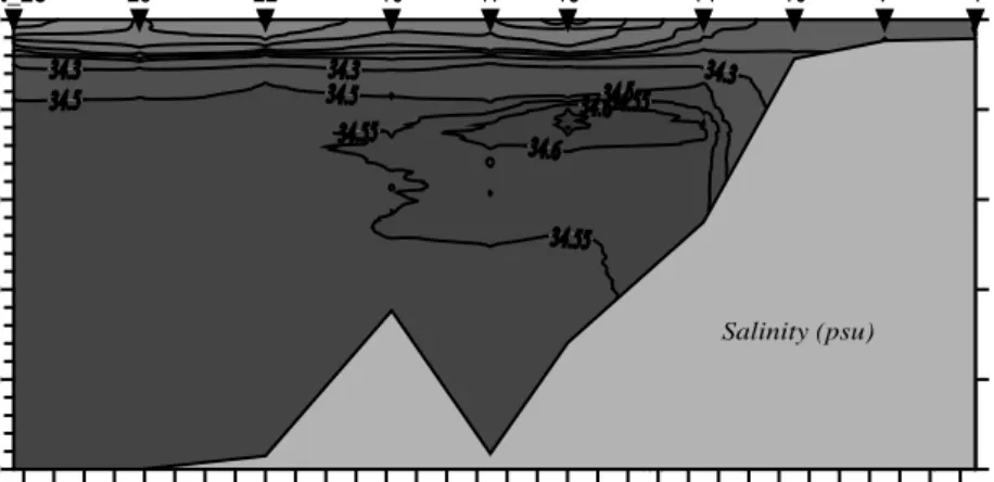 Gambar 6. Distribusi tegak salinitas antara St.4 sampai 28 di Laut Seram sampai Laut Banda  Distribusi tegak salinitas Line 08 