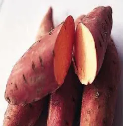 Gambar 1.Umbi ubi jalar