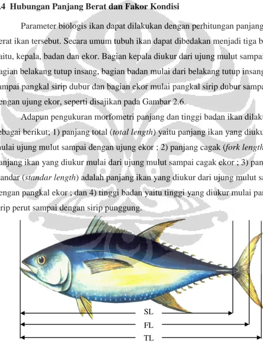 Gambar 2.6 TL FL SL 