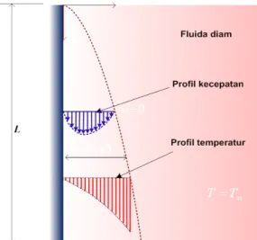 Gambar 2.7 Konveksi natural plat vertikal yang dingn(Himsar AMBARITA 2011)  Satu hal yang perlu dicatat di sini adalah, parameter yang selalu dihitung  hanya ada satu yaitu bilangan Nu yang menyatakan koefisien perpindahan panas