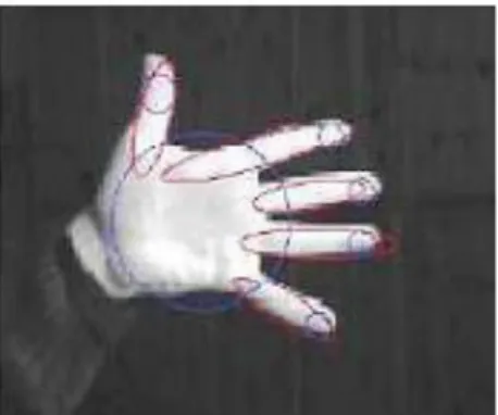 Gambar 10. Blob Detection Pada Citra Tangan 