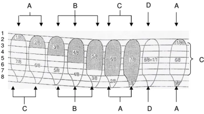 Gambar 4. Bagian-Bagian Beras : (A) Patahan Kecil, (B) Patahan Besar,  (C) Beras Kepala, (D) Beras Utuh 