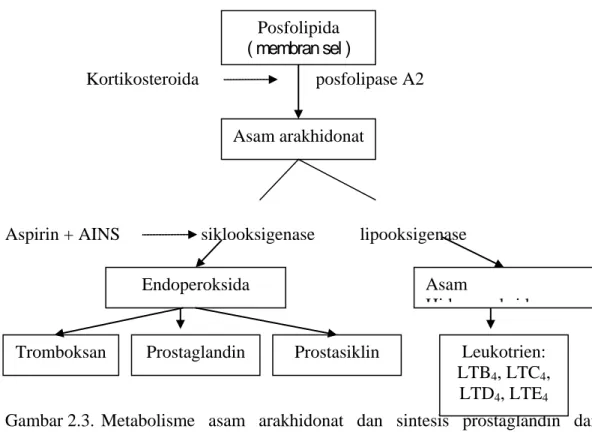 Gambar 2.3.  Metabolisme  asam arakhidonat  dan  sintesis  prostaglandin  dan        leukotrien 