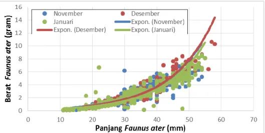 Gambar 3.  Pola Pertumbuhan Faunus ater di Krueng Reuleung pada 3 stasiun selama 3  bulan pengamatan 