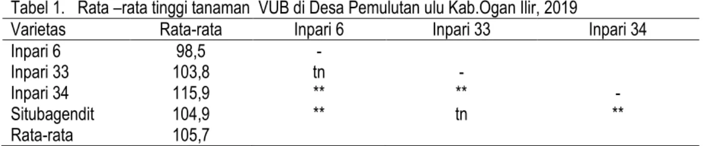 Tabel 1.   Rata –rata tinggi tanaman  VUB di Desa Pemulutan ulu Kab.Ogan Ilir, 2019 