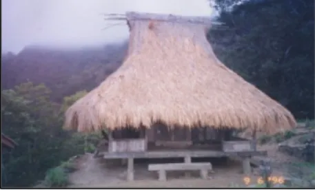 Gambar 1. Kampung Tradisional Wolotopo  (Sumber: Dinas Pariwisata Kabupaten Ende (2003) 