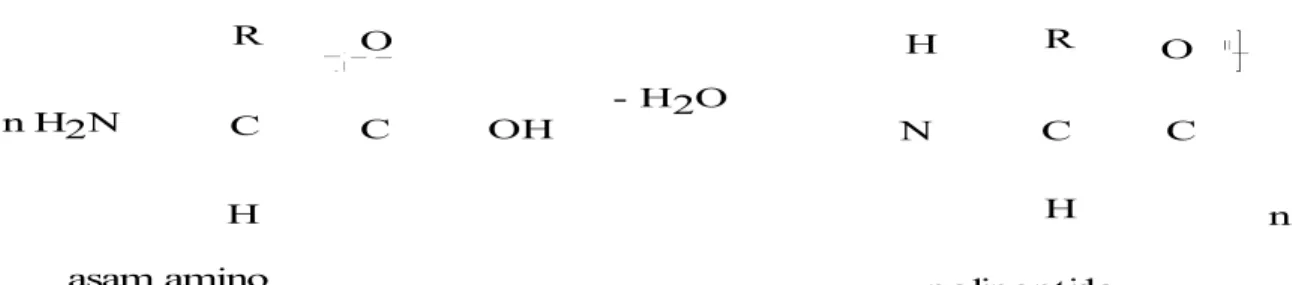 Gambar 1.5 Reaksi Monomer Yang Dapat Dipolimerisasi Menjadi Polietilena
