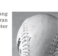 Gambar 1.15 Bola softball