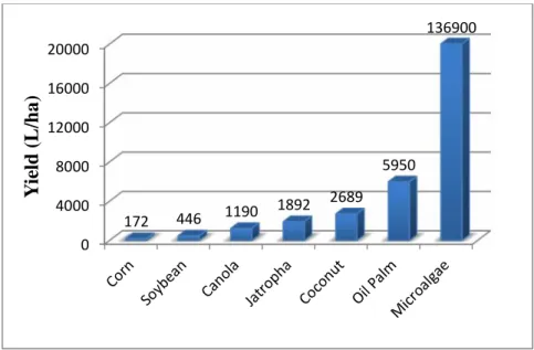 Gambar 3. Produktivitas mikroalga  dibandingkan  dengan  minyak  nabati  lainnya (Chisti, 2007).