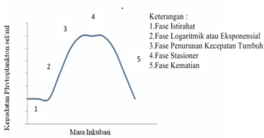 Gambar 7. Pola pertumbuhan T. chuii (Isnansetyo dan Kurniastuty, 1995).