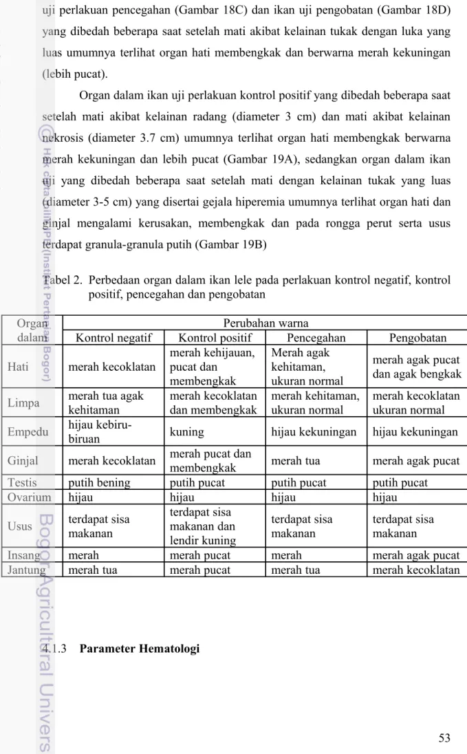 Tabel 2. Perbedaan organ dalam ikan lele pada perlakuan kontrol negatif, kontrol  positif, pencegahan dan pengobatan    