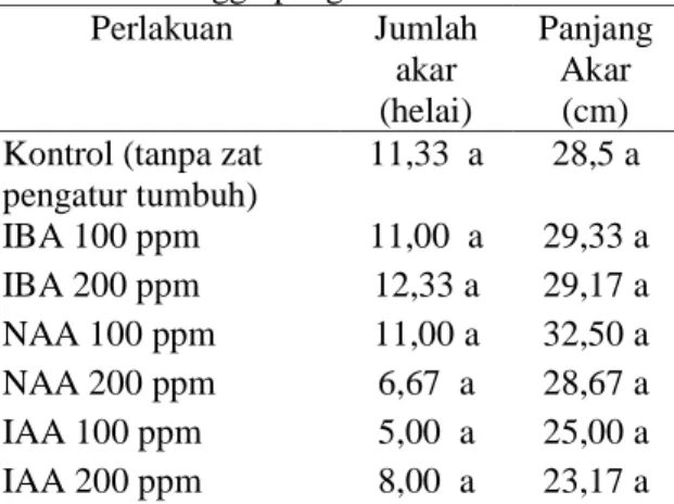 Tabel  2.  Jumlah  dan  panjang  akar  tanaman  Bayur  (P.  javanicum)  yang  diberi  beberapa  jenis  dan  konsentrasi  Auksin  yang  berbeda  selama 12 minggu pengamatan 