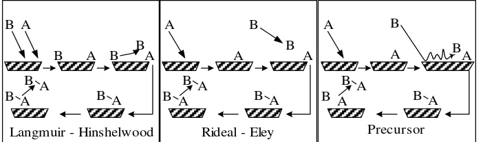 Gambar 2.2 Skema mekanisme reaksi permukaan. 