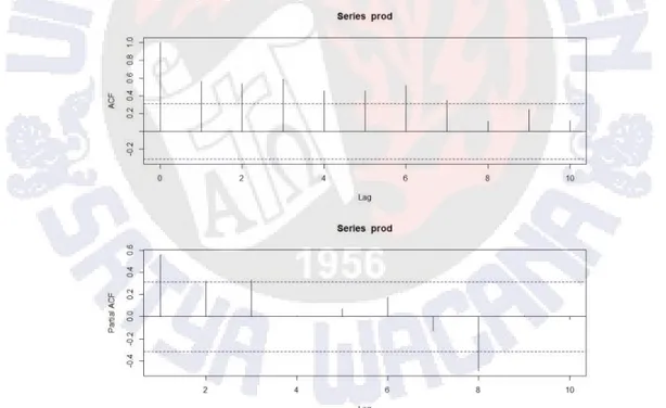 Gambar 9 Plot ACF dan PACF Produksi 