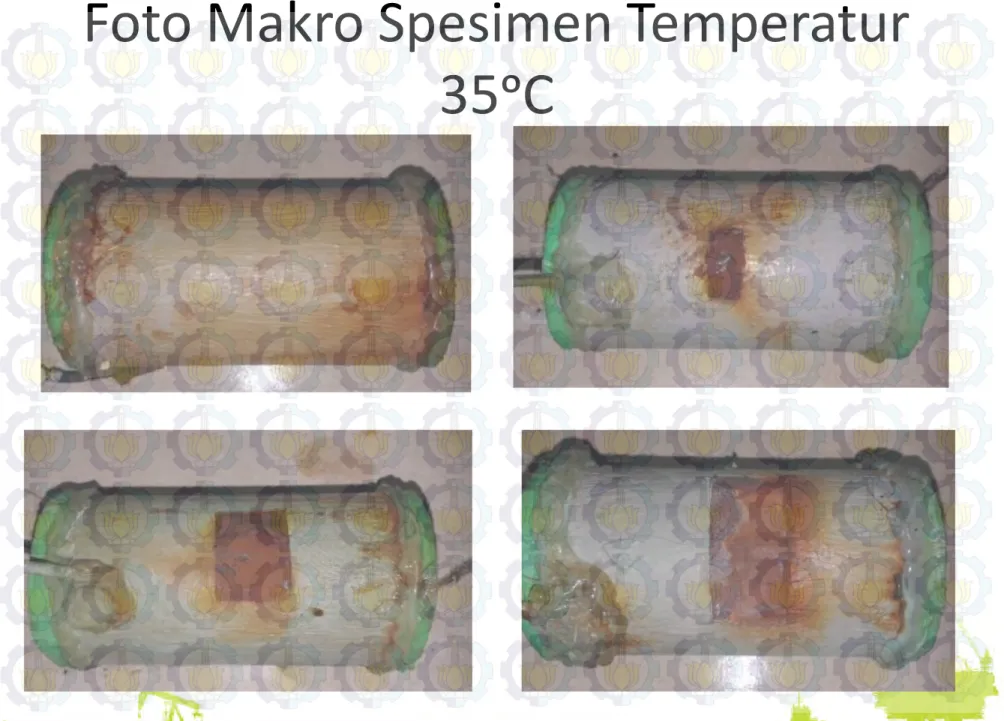 Foto Makro Spesimen Temperatur  35ᵒC