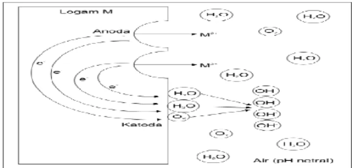 Gambar 2.2. Proses korosi logam dalam lingkungan air sebagai reaksi elektrokimia  Sumber : Desiendrea 2007 