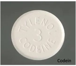 Gambar 10. Pil Codeine