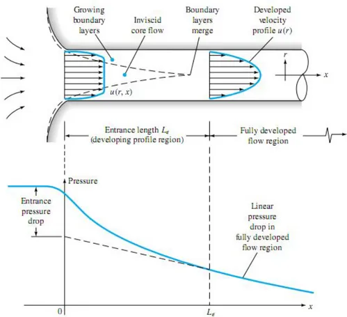 Gambar 2.4. Perkembangan profil kecepatan dan perubahan  tekanan 