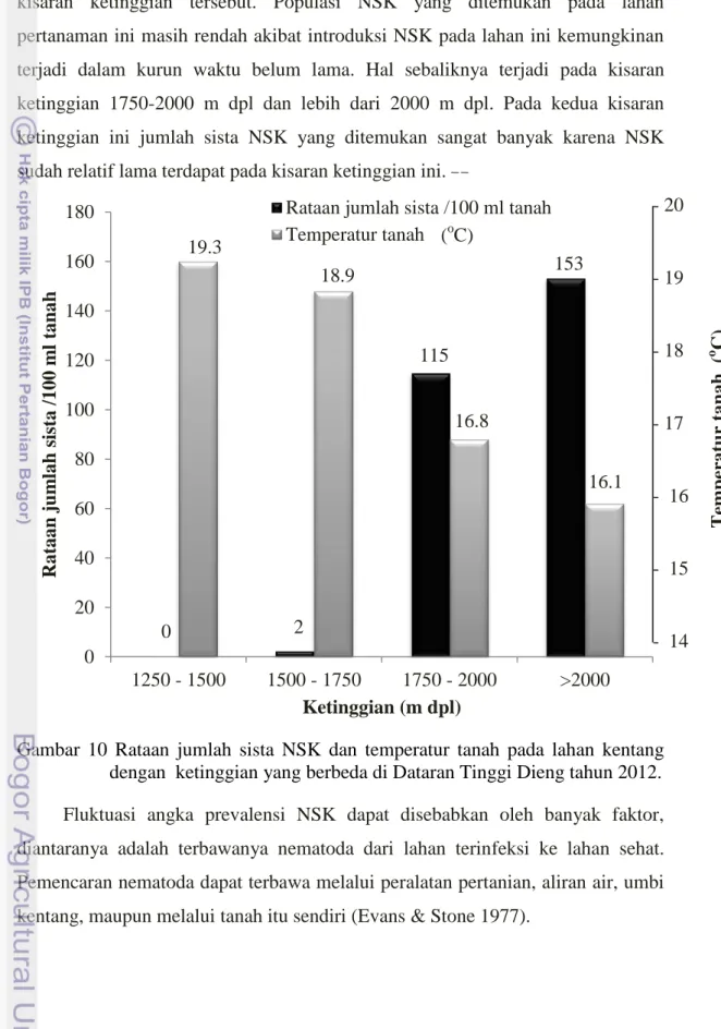 Gambar  10  Rataan  jumlah  sista  NSK  dan  temperatur  tanah  pada  lahan  kentang  dengan  ketinggian yang berbeda di Dataran Tinggi Dieng tahun 2012