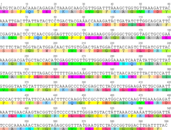 Gambar 1. Sekuens DNA barcode rbcL dan Asam Amino 