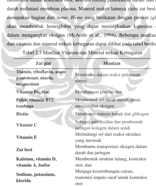 Tabel 2.3 Manfaat Vitamin dan Mineral terkait Kebugaran 