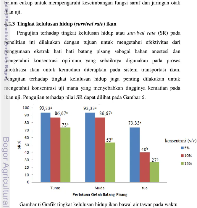 Gambar 6 Grafik tingkat kelulusan hidup ikan bawal air tawar pada waktu  anestesi 