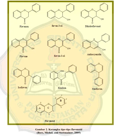 Gambar 2. Kerangka tipe-tipe flavonoid (Bors, Michel, and Stettmainer, 2005) 
