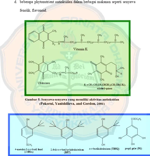 Gambar 5. Senyawa-senyawa yang memiliki aktivitas antioksidan  (Pokorni, Yanishilieva, and Gordon, 2001)