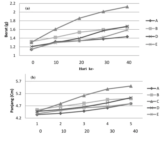 Gambar  1.  Grafik  pertumbuhan  ikan  pedih  selama  pemeliharaan  (a)  penambahan berat (b) penambahan panjang 