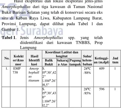 Tabel 1.  Jenis  Amorphophallus  spp.  yang  telah  diidentifikasi  dari  kawasan  TNBBS,  Prop  Lampung  No