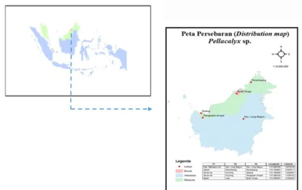 figure 1. Distribution map of (Peta distribusi) 