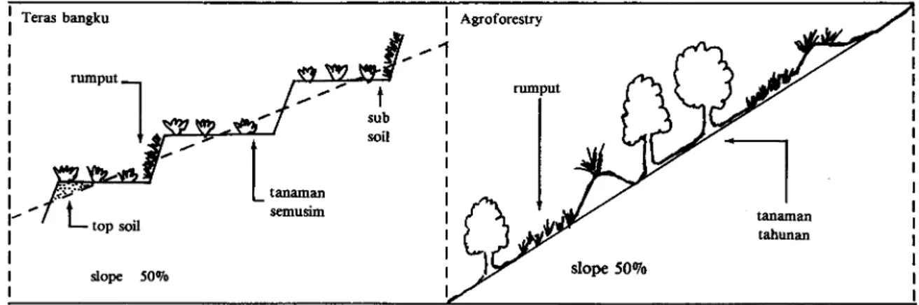 Gambar 2. Potongan melintang dari teras bangku dan agroforestry. 