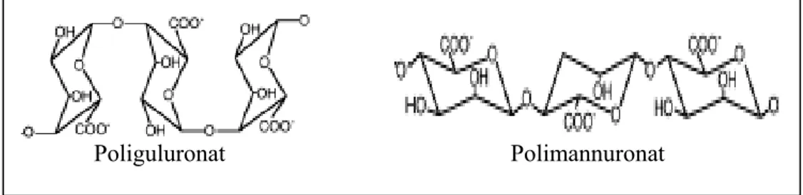 Gambar 1. Struktur Poliguluronat dan Polimannuronat pada alginat 