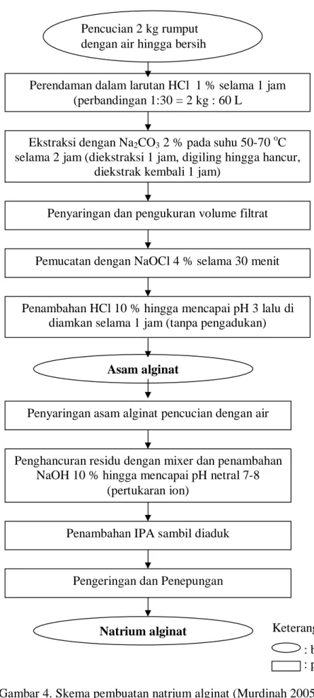 Gambar 4. Skema pembuatan natrium alginat (Murdinah 2005)     