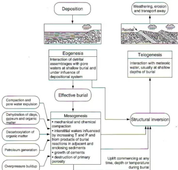 Gambar 4. Skema yang menunjukkan hubungan antara setiap tahapan diagenesis [2]. 