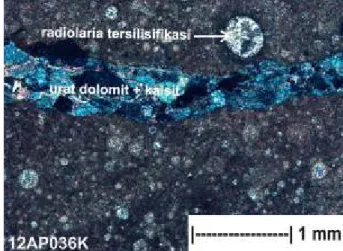 Gambar 11. Wackestone yang memperlihatkan urat dolomit bercampur  kalsit.  Tampak  komponen  bioklas  dikuasai  oleh  fosil  radiolaria tersilisifikasi