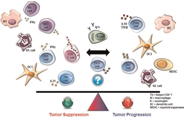 Gambar 2.1. Tumor Infiltrasi limfosit pada kanker 