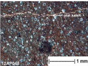 Gambar  4.  Packstone  dengan  komponen  bioklas  dikuasai  oleh  fosil  radiolaria tersilisifikasi