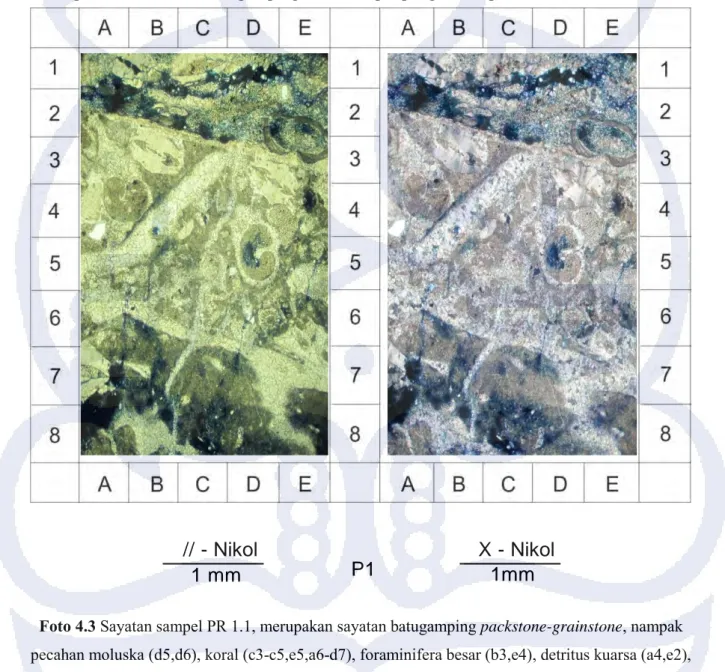 Foto 4.3 Sayatan sampel PR 1.1, merupakan sayatan batugamping packstone-grainstone, nampak  pecahan moluska (d5,d6), koral (c3-c5,e5,a6-d7), foraminifera besar (b3,e4), detritus kuarsa (a4,e2),  dan matriks berupa mikrit dan spar (a1-e2), berwarna kecoklat