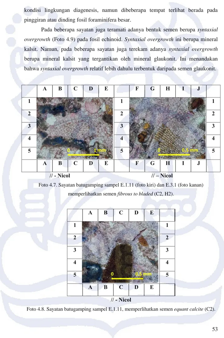 Foto 4.7. Sayatan batugamping sampel E.1.11 (foto kiri) dan E.3.1 (foto kanan)  memperlihatkan semen fibrous to bladed (C2, H2)