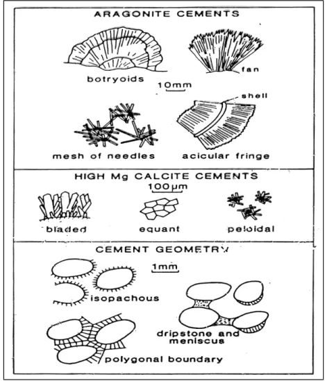Gambar 4.7 Beberapa tipe semen pada batuan karbonat (dalam Boggs, 1992) 