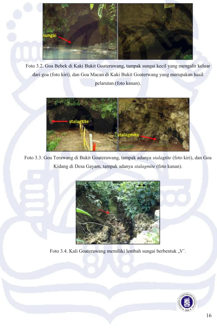 Foto 3.3. Goa Terawang di Bukit Goaterawang, tampak adanya stalagtite (foto kiri), dan Goa  Kidang di Desa Gayam, tampak adanya stalagmite (foto kanan)