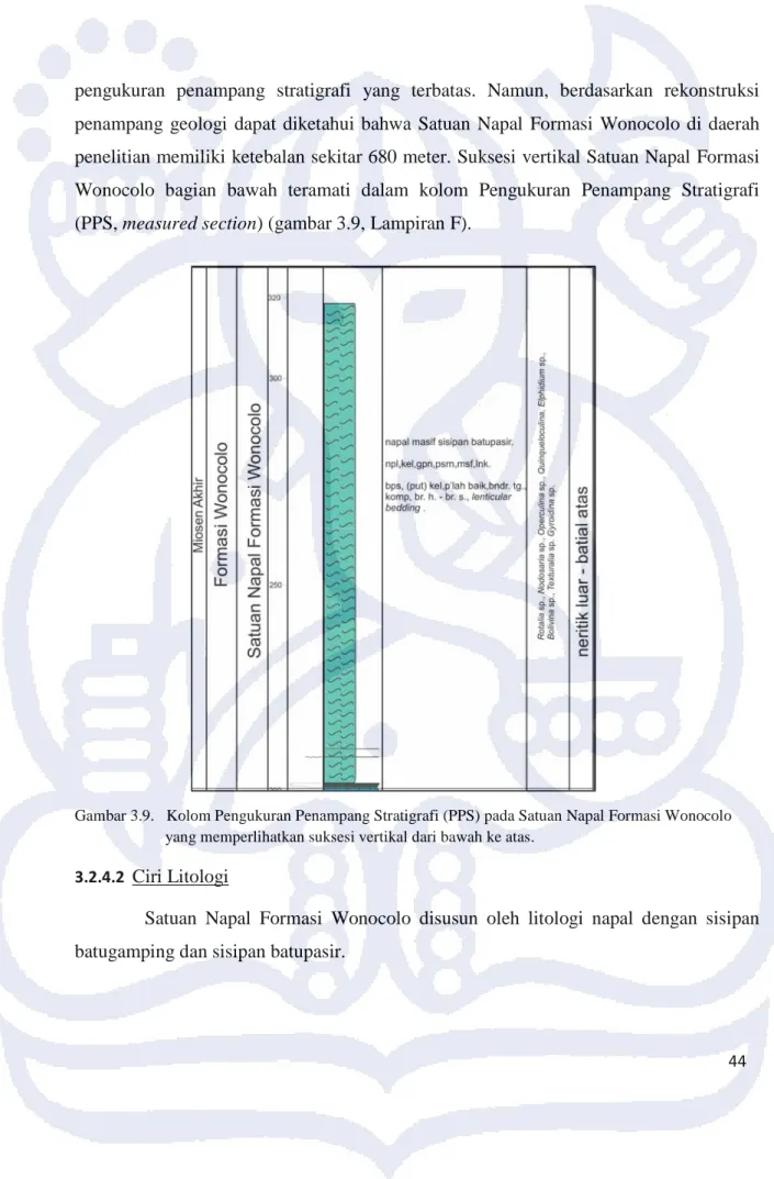 Gambar 3.9.   Kolom Pengukuran Penampang Stratigrafi (PPS) pada Satuan Napal Formasi Wonocolo  yang memperlihatkan suksesi vertikal dari bawah ke atas.