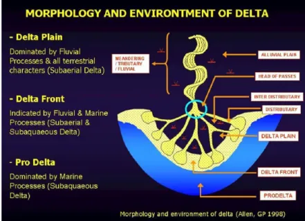 Gambar 6. Morfologi Dan Lingkungan Delta (Allen, GP 1998)
