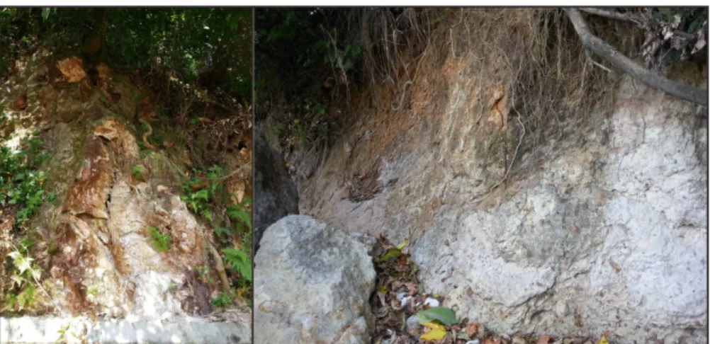 Gambar 6. Singkapan batuan teralterasi kaolin-ilit-kuarsa di dekat tempat parkiran wisata Pantai Wediombo (kiri) dan pada tebing paling Barat dari Pantai Wediombo (kanan)