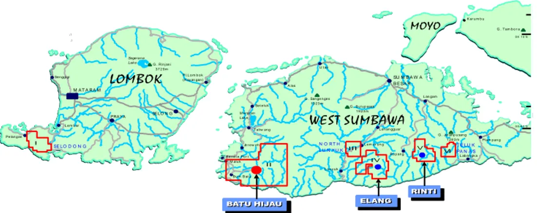 Gambar 1. Peta Lokasi Daerah Elang Prospek 